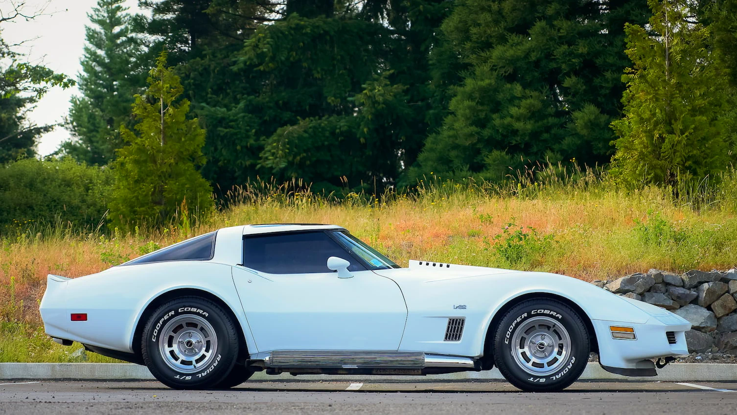 Click to Enlarge-Esc to Close Corvette Generations/C3/C3 1980 Right sideview -2.webp
